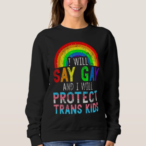 Florida Gay I Will Say Gay And I Will Protect Tran Sweatshirt