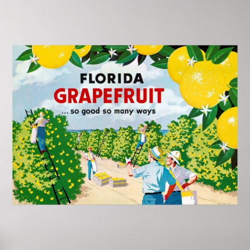Florida Grapefruit 1930s Vintage Poster