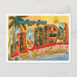 Florida Greetings From US States Postcard<br><div class="desc">Greetings From Florida Vintage Postcards. Greetings from all 50 States of America Postcards.</div>