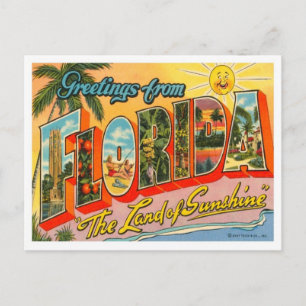 Florida Greetings From US States Postcard
