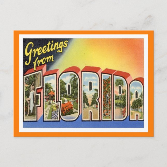 Florida Greetings Vintage Travel Postcard (Front)