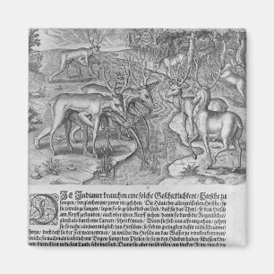 Florida Indians hunting deer Magnet