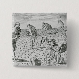 Florida Indians planting maize Button