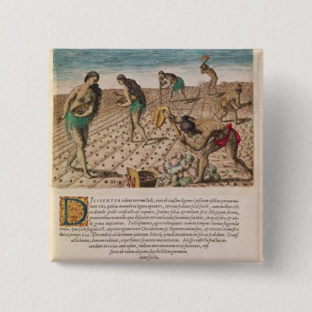 Florida Indians planting maize Pinback Button (Front)