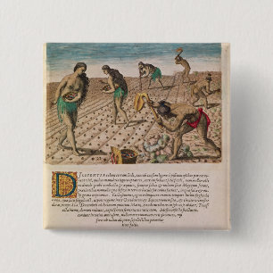 Florida Indians planting maize Pinback Button