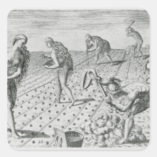 Florida Indians planting maize Square Sticker