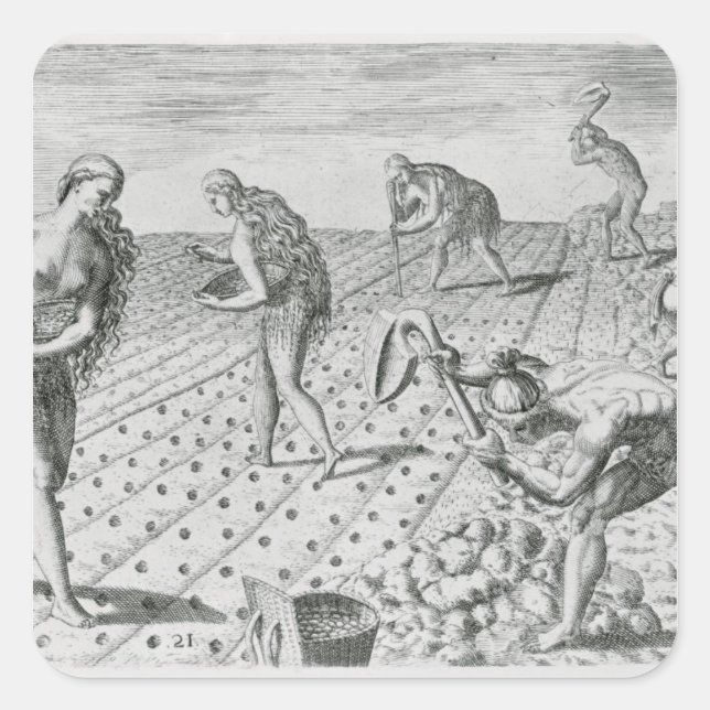 Florida Indians planting maize Square Sticker (Front)