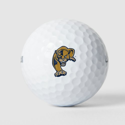 Florida International University Panthers Golf Balls
