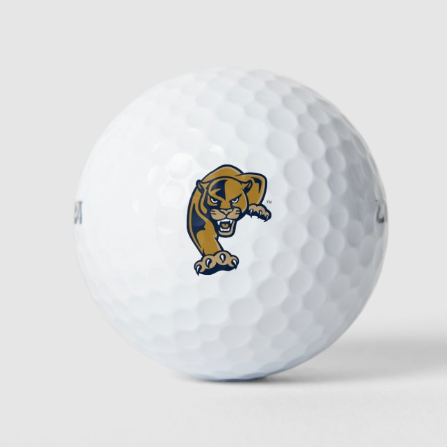 Florida International University Panthers Golf Balls (Front)