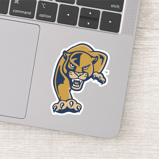 Florida International University Panthers Sticker (Detail)