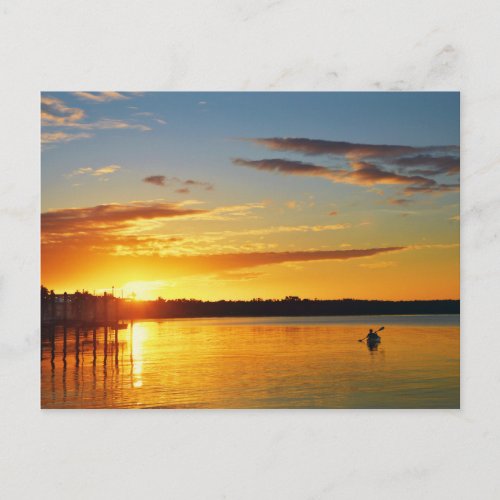 Florida Kayaker at Sunset Postcard