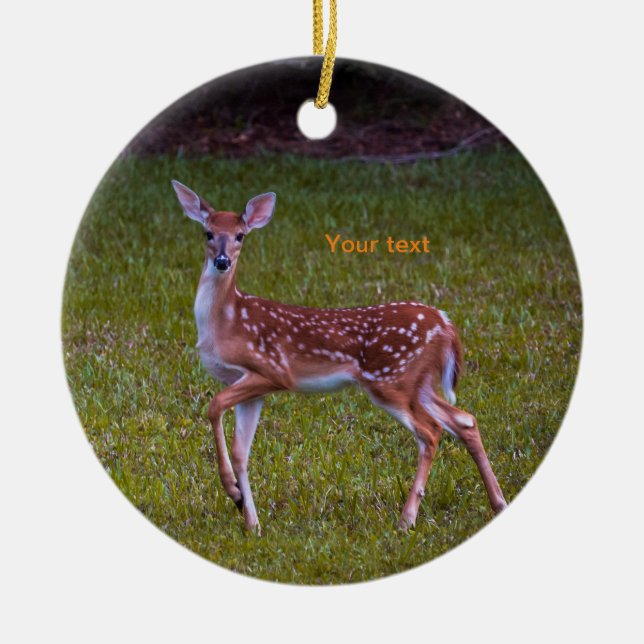 Florida Key deer Juvenile fawn photography Ceramic Ornament (Front)