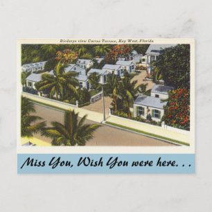 Florida, Key West, Cactus Terrace Postcard