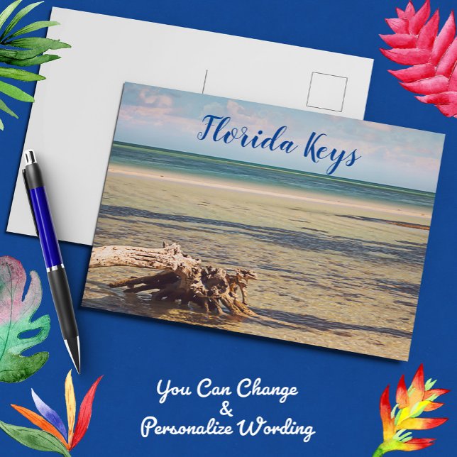 Florida Keys Bahia Honda Driftwood Beach Postcard (Creator Uploaded)