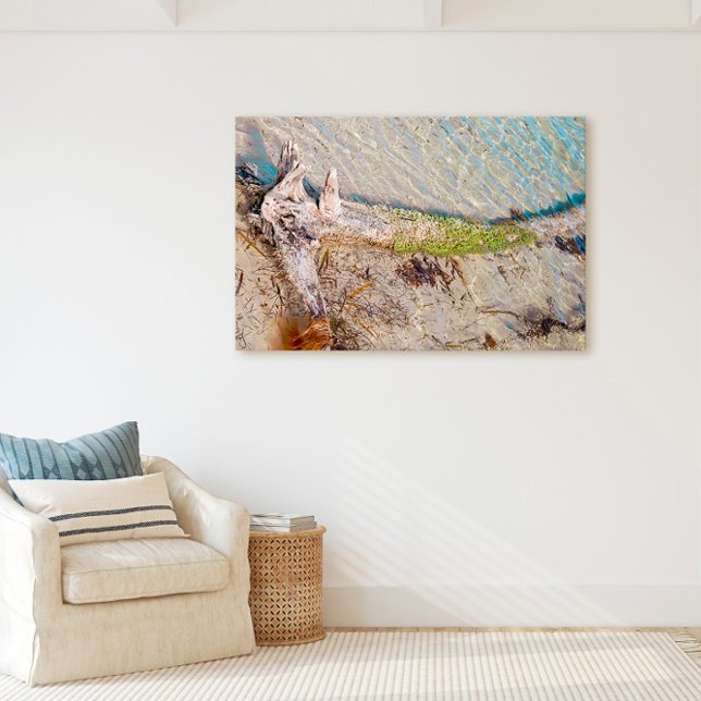 Florida Keys Bahia Honda Driftwood Shore Canvas Print (Creator Uploaded)