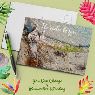 Florida Keys Bahia Honda Driftwood Shore Postcard