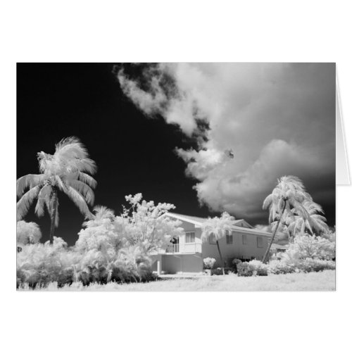 Florida Keys house and its palm trees USA