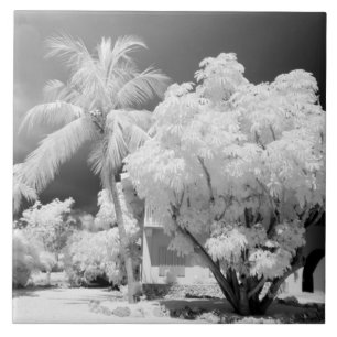 Florida Keys house and its palm trees, USA. 2 Ceramic Tile