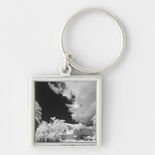 Florida Keys house and its palm trees, USA. Keychain