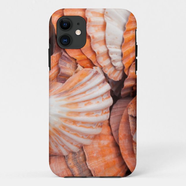 Florida Keys, Key West, seashells Case-Mate iPhone Case (Back)