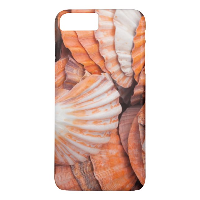 Florida Keys, Key West, seashells Case-Mate iPhone Case (Back)