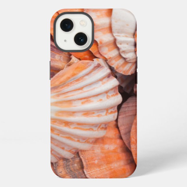Florida Keys, Key West, seashells Iphone Case (Back)