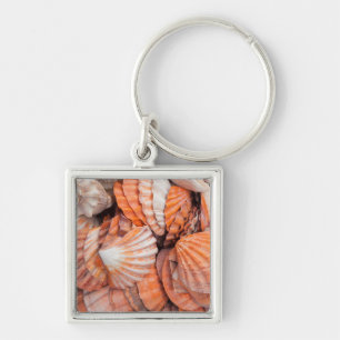 Florida Keys, Key West, seashells Keychain