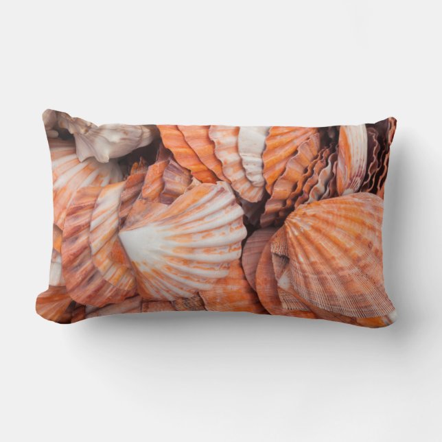 Florida Keys, Key West, seashells Lumbar Pillow (Front)