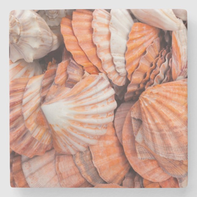 Florida Keys, Key West, seashells Stone Coaster (Front)