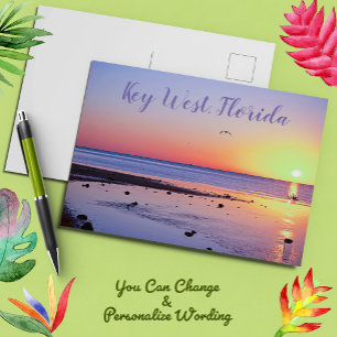 Florida Keys Key West Sunset with Seagull Postcard
