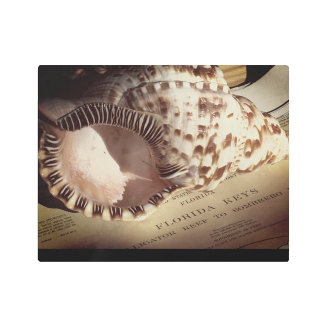 Florida Keys Shell Chart Metal Print (Front)