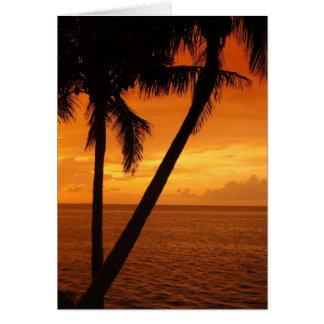 Florida Key's Sunset Cards