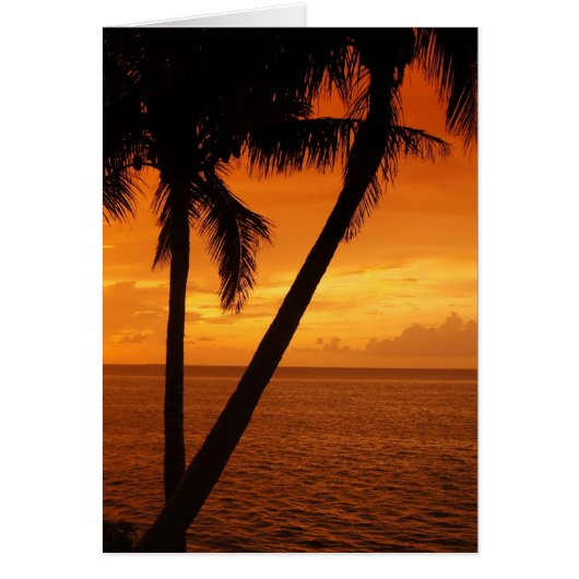Florida Key's Sunset Cards (Front)