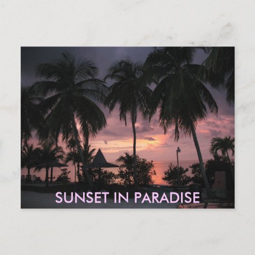 Florida Keys Sunset in Paradise postcard