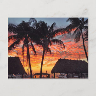 Florida Keys tropical sunset Postcard