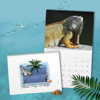 Florida Keys Wildlife Calendar by aura2000 at Zazzle