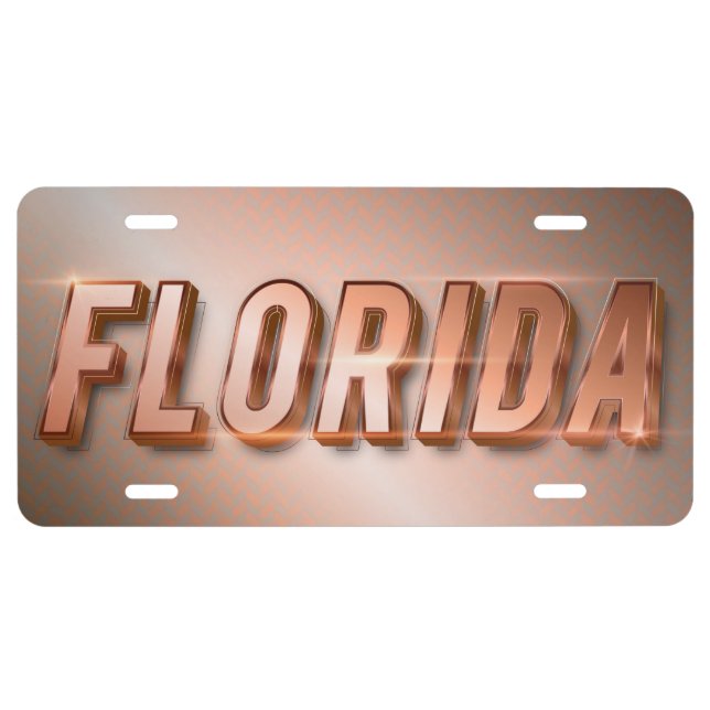 Florida License Plate (Front)