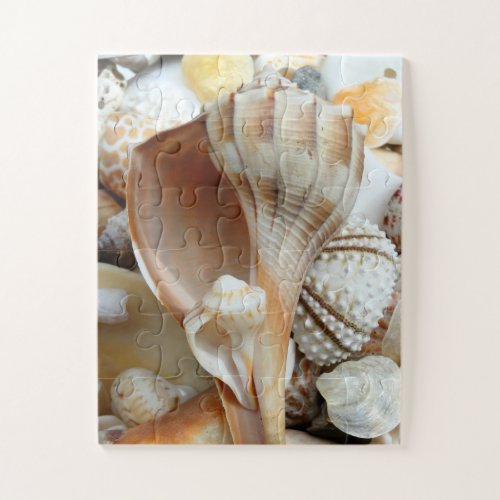 Florida Lightning Whelk Kids Seashells Puzzle