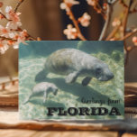 Florida Manatee and Baby Postcard<br><div class="desc">This design may be personalized in the area provided by changing the photo and/or text. Or it can be customized by clicking Personalize this Template and then choosing the click to customize further option and delete or change the color of the background, add text, change the text color or style,...</div>