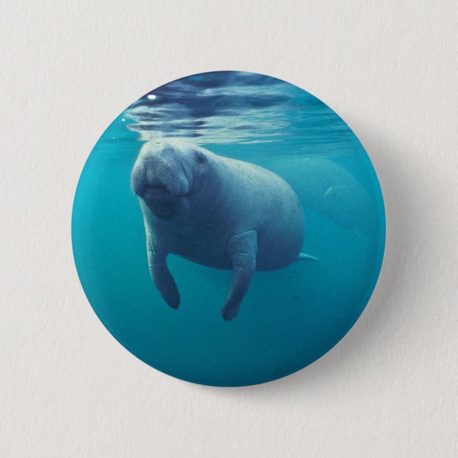 Florida Manatee Button (Front)