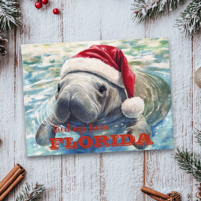 Florida Manatee Watercolor Christmas Postcard (Creator Uploaded)