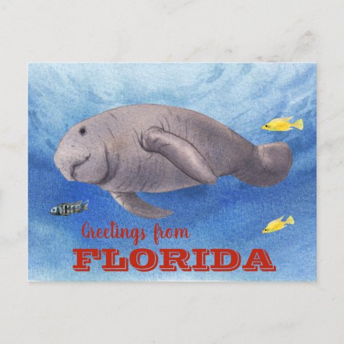 Florida Manatee Watercolor underwater Postcard