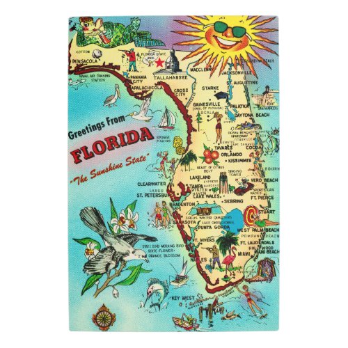 Florida Map 20x30 Metal Art
