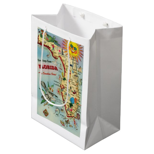 Florida Map Gift Bag (Front Angled)