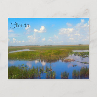 Florida Marsh Postcard