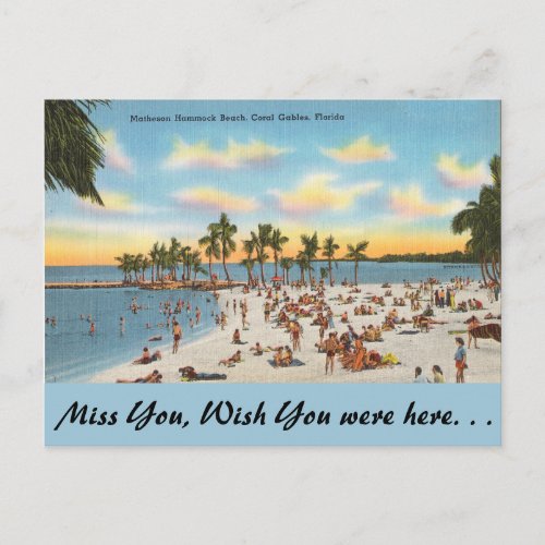 Florida Matheson Hammock Coral Gables Postcard