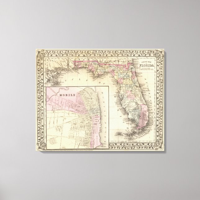 Florida, Mobile Canvas Print (Front)