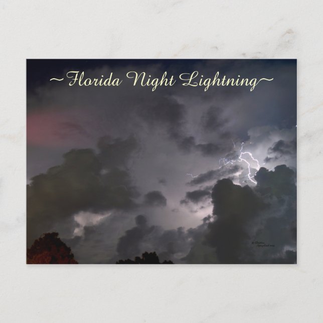 Florida night lightning clouds Postcard (Front)