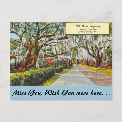 Florida Old Dixie Highway Daytona Beach Postcard