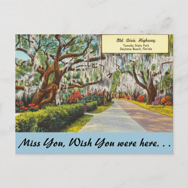 Florida, Old Dixie Highway, Daytona Beach Postcard Zazzle